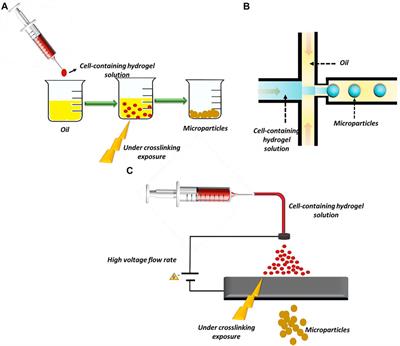 An Overview of Engineered Hydrogel-Based Biomaterials for Improved β-Cell Survival and Insulin Secretion